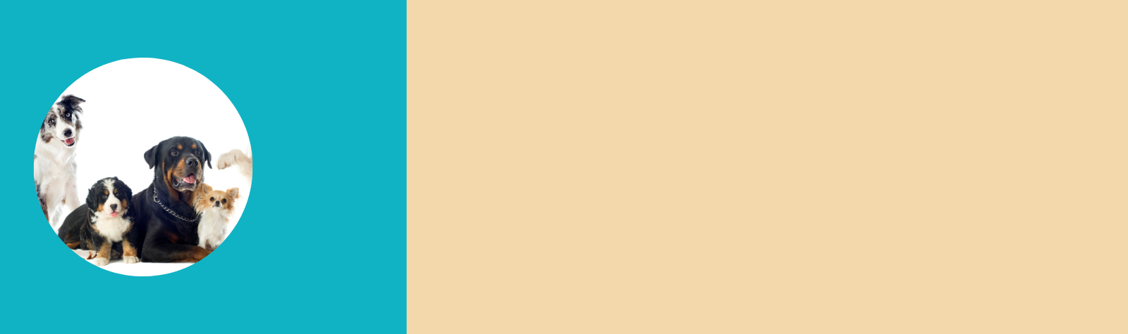 Se retrasa la medida que obliga a contratar un seguro de RC para perros