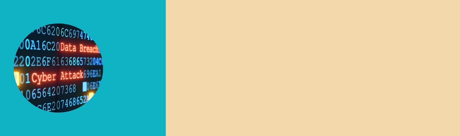 Seguro de ciberseguridad