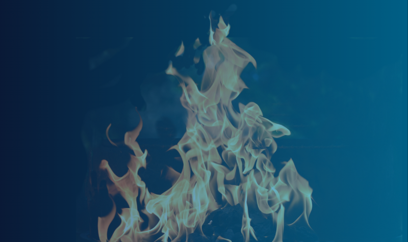 Industria Alimentaria